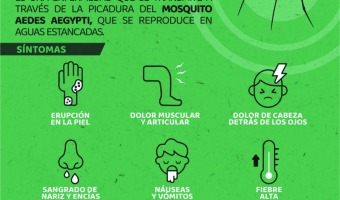 TRAS LA TORMENTA, SALUD Y ZOONOSIS INTENSIFICAN LAS ACCIONES PREVENTIVAS CONTRA EL DENGUE